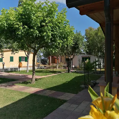 Nina's House , 1